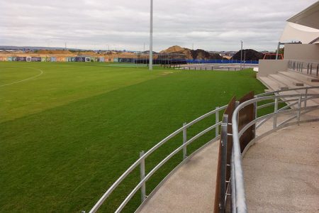 Value Turf Options