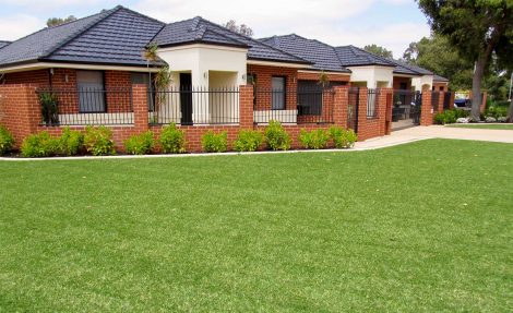 Palmetto lawn on home front verge