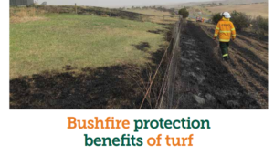 Bushfire Protection Benefits of Turf