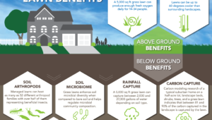 Environmental Lawn Benefits | The Lawn Institute