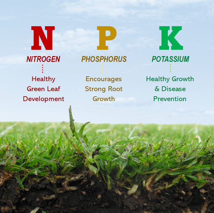 Why An Npk Fertiliser Is The Best Fertiliser For Your Lawn Greenacres Turf Groupgreenacres