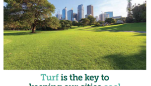 Turf is the Key to Keeping Our Cities Cool