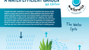 Your Guide to a Water Efficient Garden – WA Edition