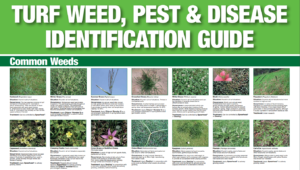 Turf Weed, Pest & Disease Identification Guide
