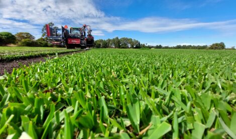 Lawn Care Tips