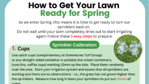How to Get Your Lawn Ready for Spring