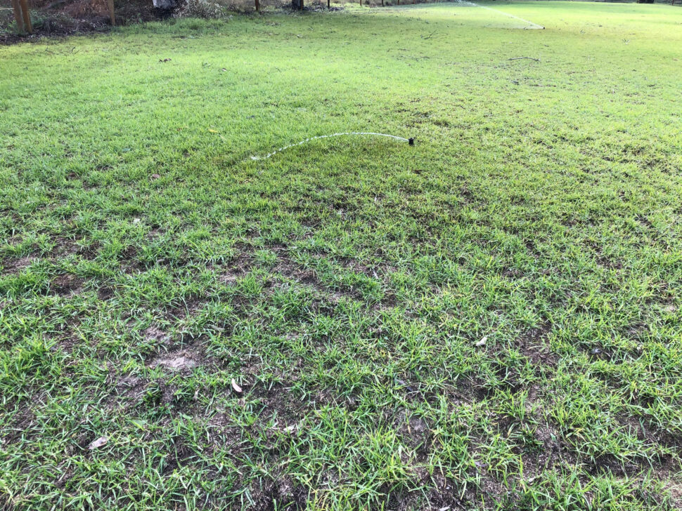repair lawn damage after heavy rain